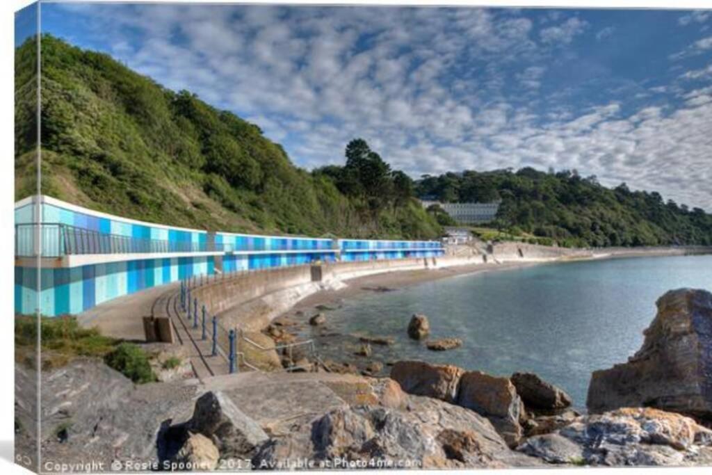 **Sunny And Bright, Thatchers Rock One Bed Beach Front Apartment*** Torquay Buitenkant foto